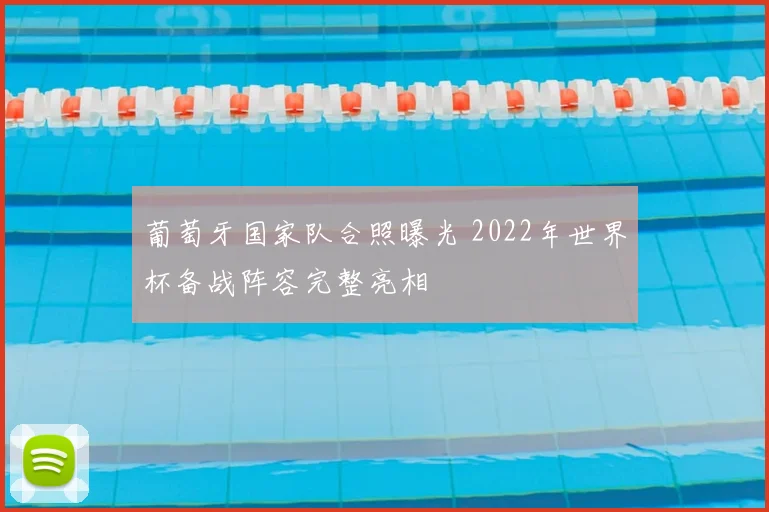 葡萄牙国家队合照曝光 2022年世界杯备战阵容完整亮相