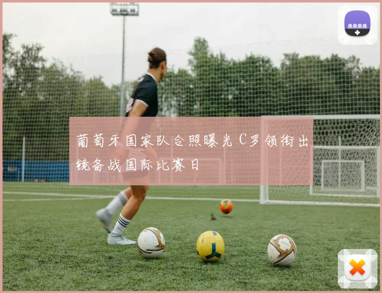 葡萄牙国家队合照曝光 C罗领衔出镜备战国际比赛日