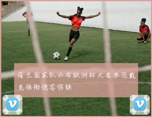 荷兰国家队公布欧洲杯大名单范戴克领衔德容伤缺