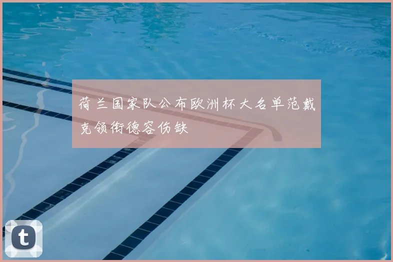 荷兰国家队公布欧洲杯大名单范戴克领衔德容伤缺